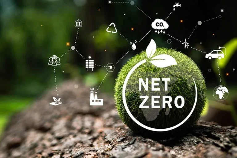 India’s Roadmap to Net Zero by 2070