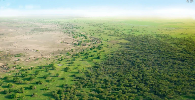 Africa’s Great Green Wall: Fighting Desertification and Climate Change
